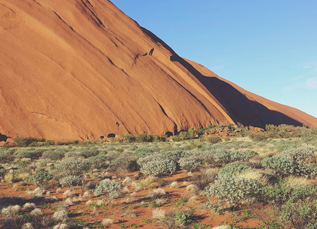 免费ddos压力测试平台